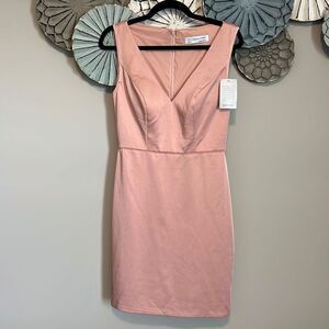 Ieena for Mac Duggal Sleeveless V Neck Fitted Dress in Blush 